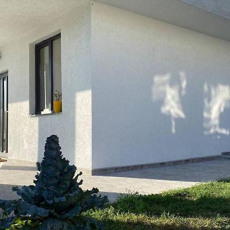 Lola Seaview Guest House. Уютный Домик В Варне Varna Exteriör bild