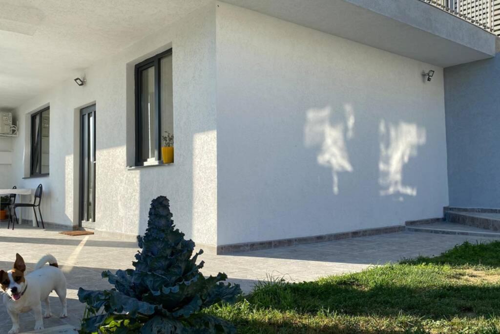 Lola Seaview Guest House. Уютный Домик В Варне Varna Exteriör bild