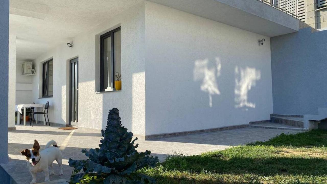 Lola Seaview Guest House. Уютный Домик В Варне Varna Exteriör bild